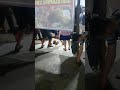 rebutan durian jemongko