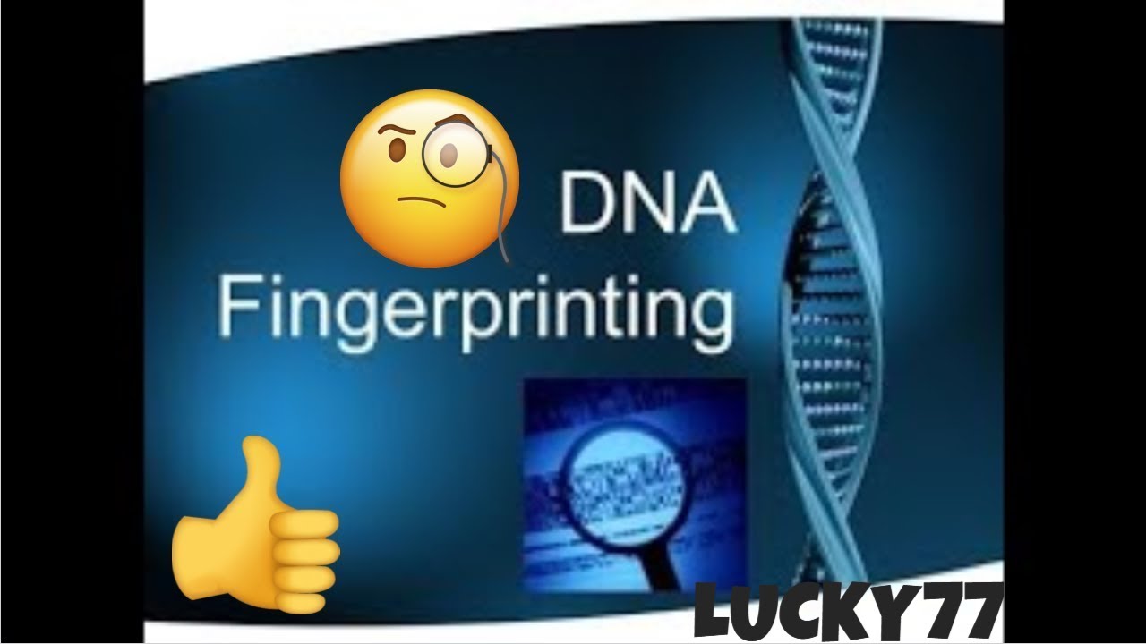 WHAT IS DNA FINGERPRINTING & DNA PROFILING - YouTube