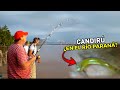 Pescamos un Candirú en el Río Paraná, Quedamos sorprendidos!