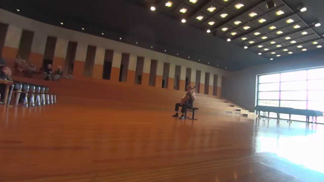 Roland Dyens - Triaela I. Light motif (Takemitsu au Brézil)