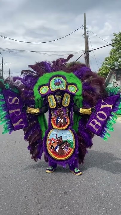 mardi gras parades westbank