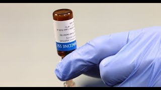 Scientists are trialling a 100-year-old vaccine in the fight against Covid-19  - News Today