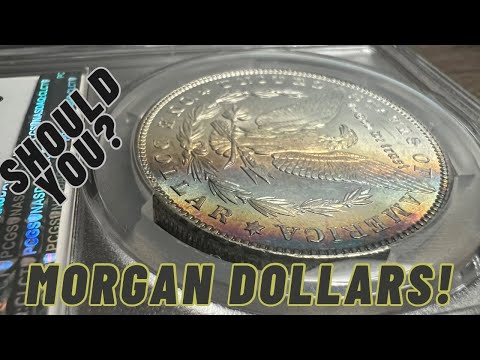 Should You Be BUYING Morgan Silver Dollars? #morgansilverdollar