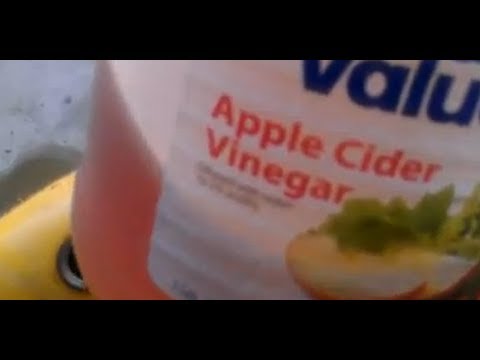 gas tank rust removal cider vinegar works youtube the works rust remover