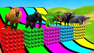 Long Slide Game With Elephant Gorilla Buffalo Hippopotamus Tiger 3D Animal Game Funny 3D Animals