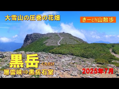 大雪山【黒岳】黒岳石室・満開のお花畑!2025年7月