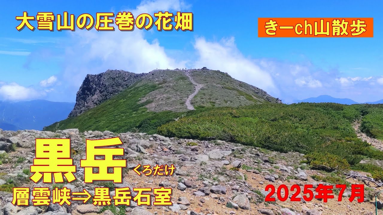 大雪山【黒岳】黒岳石室・満開のお花畑！2025年7月 - YouTube