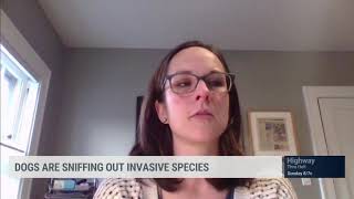 Turning man's best friend into the planet's best friend (The Weather Channel)
