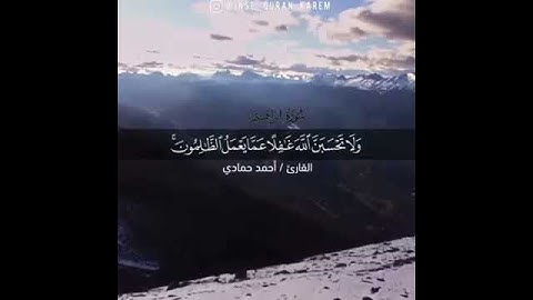 تلاوة خاشعة القارىء الشيخ احمد حمادي