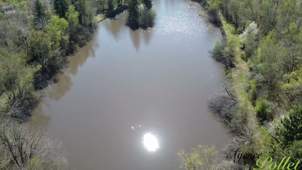 Aperçu vidéo — Etang 1,1 ha sur terrain de 3,45 ha, cabanon, grand calme