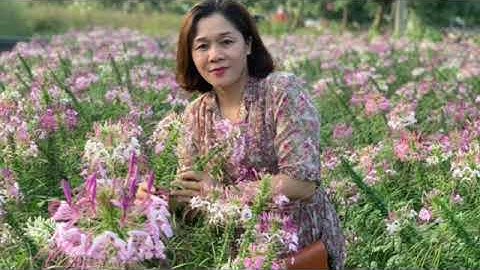 21-22. Lớp 7C Trường THCS Lý Tự Trọng - Tp Hòa Bình - Hòa Bình