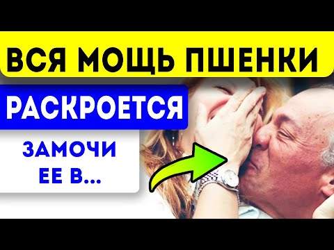 Варить пшено нельзя! Огромную пользу организму каша принесет, только если её есть …