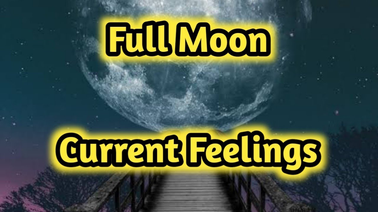 Full Moon 🌕 Current Feelings Next Action💚 All Signs Collective Timeless ...