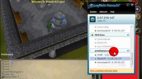 RSPS New need staff and coder ! Hamachi Server!