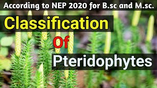 Classification of Pteridophytes|| For B.sc. and M.sc. || Botany Plant Classification #pteridophytes