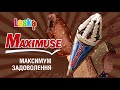 Maximuse