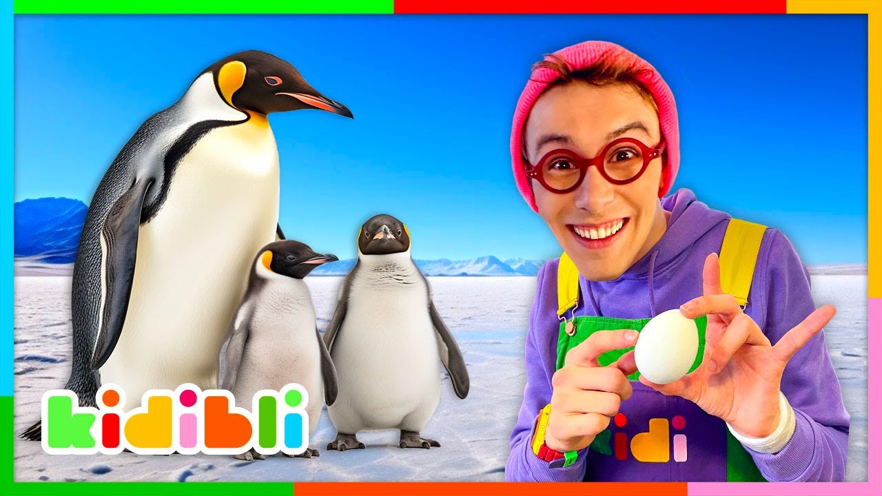 Let s Meet Marine Animals Educational Videos For Kids Kidibli Let s Meet Marine Animals Educational Videos For Kids Kidibli