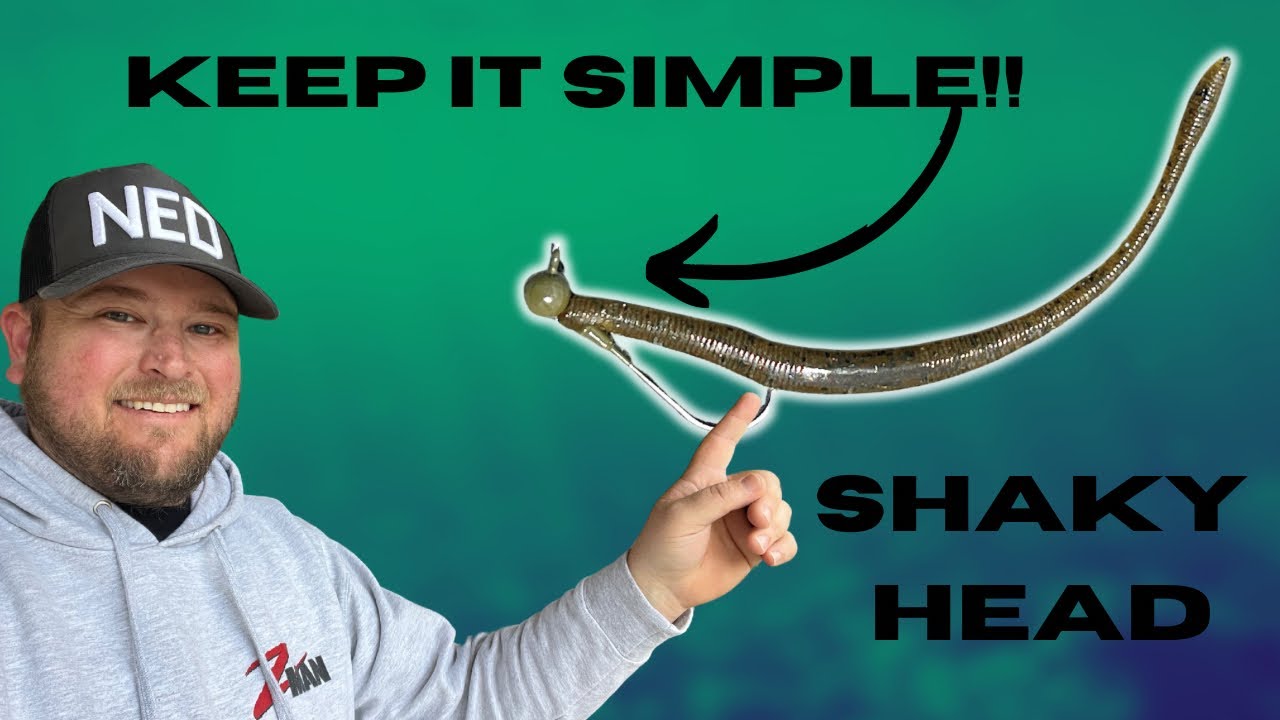 Catch MORE Bass On A SHAKEY HEAD Worm With These JIGHEADS!!