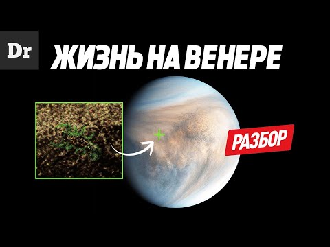 ЖИЗНЬ НА ВЕНЕРЕ ЕСТЬ?! | РАЗБОР