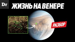 ЖИЗНЬ НА ВЕНЕРЕ ЕСТЬ?! | РАЗБОР