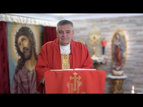 Santas Perpetua y Felicidad (07-03-2026) | P. Santiago Martín, FM