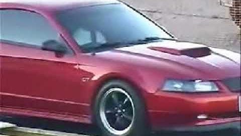 FLURL-dot-com-70026-fetched.wmv
