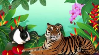 Audiocuento El tigre y el conejo Cuento infantil