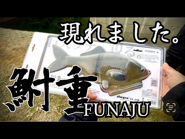 バス釣り】2025年釣り納めでまさかの… #ビッグベイト #ルアー #鮒重