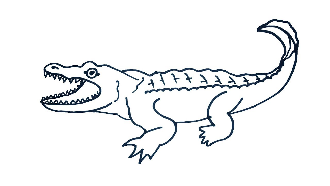 Crocodile Drawing How to draw Crocodile Easy Step By