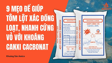 9 Mẹo Để Giúp Tôm Lột Xác Đồng Loạt, Nhanh Cứng Vỏ Với KHOÁNG CANXI CACBONAT