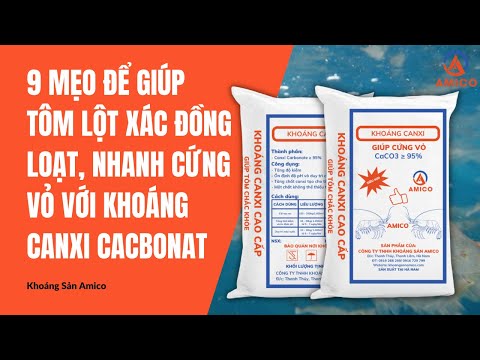 9 Mẹo Để Giúp Tôm Lột Xác Đồng Loạt, Nhanh Cứng Vỏ Với KHOÁNG CANXI CACBONAT Mới Nhất