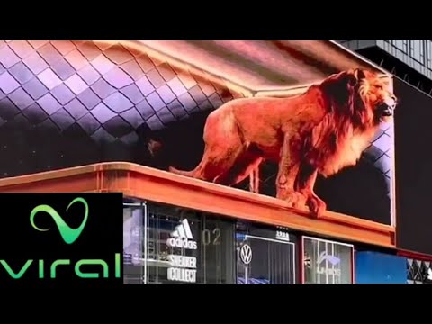 Shocking 5D Lion Roaring Advertisement 
