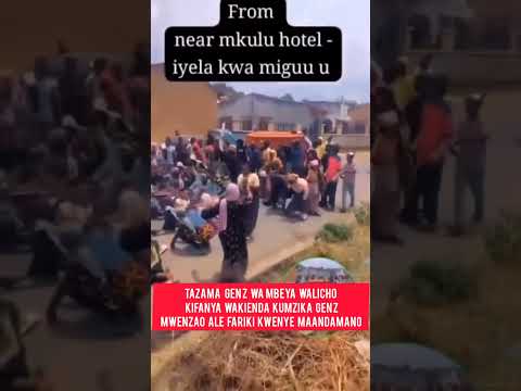 TAZAMA GEN Z WA MBEYA WALIVYO MSINDIKIZA MWENZAO TAZAMA GEN Z WA MBEYA WALIVYO MSINDIKIZA MWENZAO
