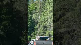 SKELETON ON THE TRUCK#funny#road#trending#shorts#short#youtube#viral#video#trendingshorts#travel#yt