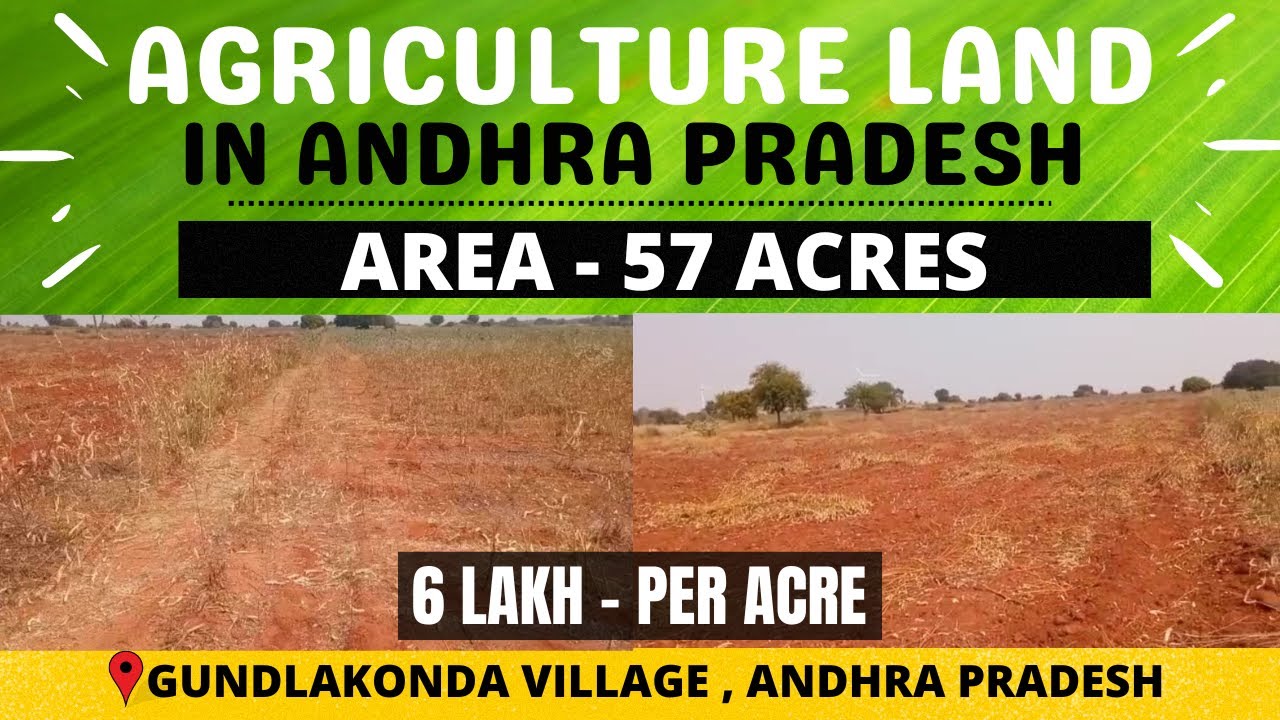 DEVANAKONDA : 57 ACRES CHEAP AGRICULTURE LAND FOR SALE | KURNOOL ...