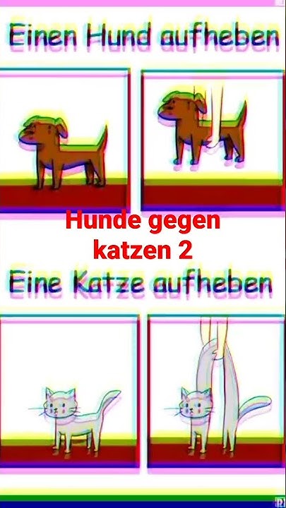 Hunde gegen Katzen 2 YouTube