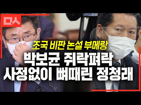 조국 비판 <strong>칼럼으로</strong> 뼈때린