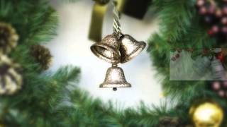 Silver Bells  - John Prine.wmv