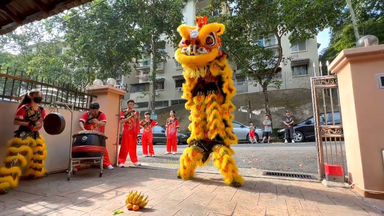 Pre-CNY 2023 - Kok Ngai single lion dance ground performance