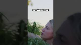 PBS News clips Climate Change: Surprising Truth About Cannabis in Our Evolving Landscape