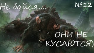WarTales#12  Полностью уничтожил логово крыс! 7из7 чумных наростов! уменьшаем розыск! Волки-спутники