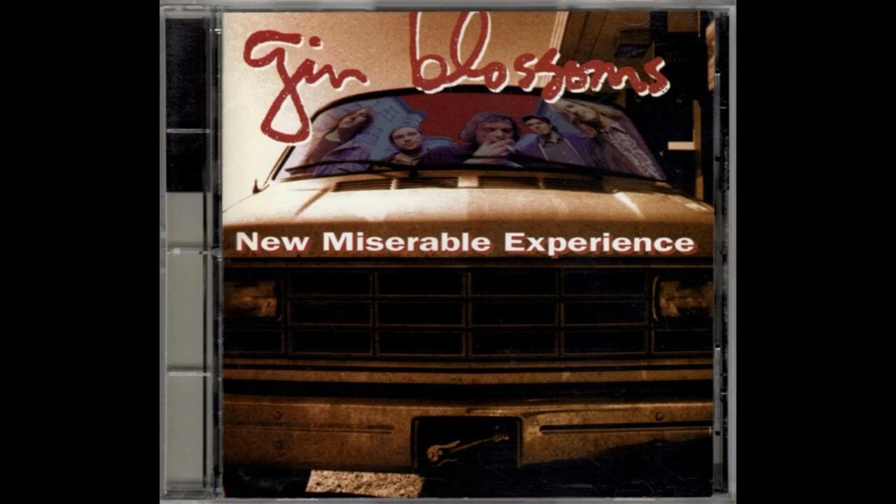 Gin Blossoms Found Out About You 08 YouTube