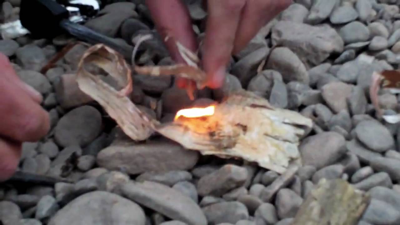 Birchbark Fire Starter YouTube
