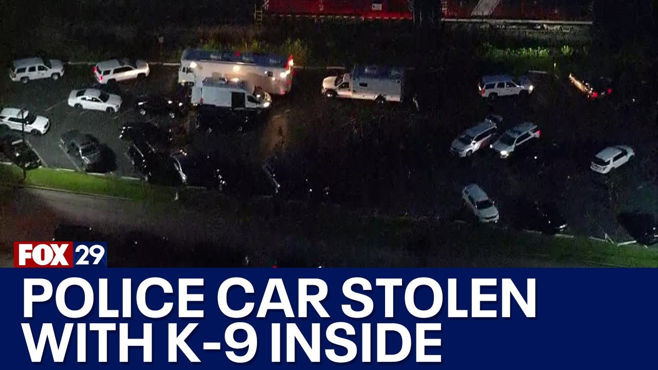 Police: Suspect sought after stealing police cruiser with K9 inside in ...