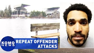 Repeat offender attacks 4 people including a toddler