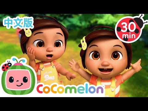咻～飛機起飛囉！🛫CoComelon 中文