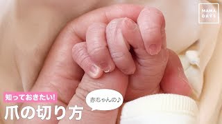 知っておきたい！赤ちゃんの爪の切り方