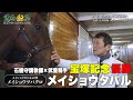 【宝塚記念 優勝】メイショウタバル 石橋守調教師に独占密着!縁がつなぐ栄光への道|栄光へ駆ける 日本ダービー&オークス2024