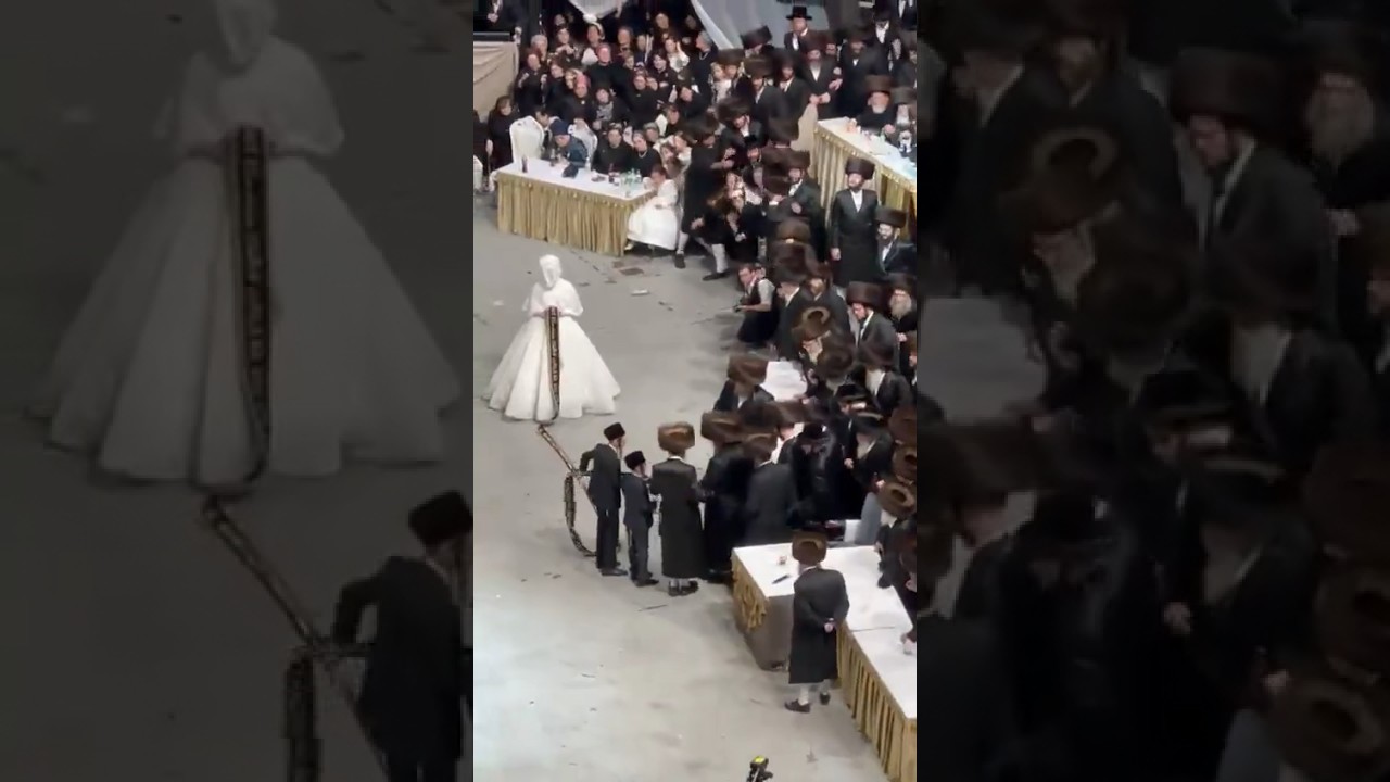 Belzer Hasidic Grand Wedding #shorts #jewishculture