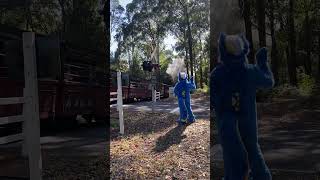 Fursuiter waves to Steam Train